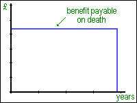 Level Term